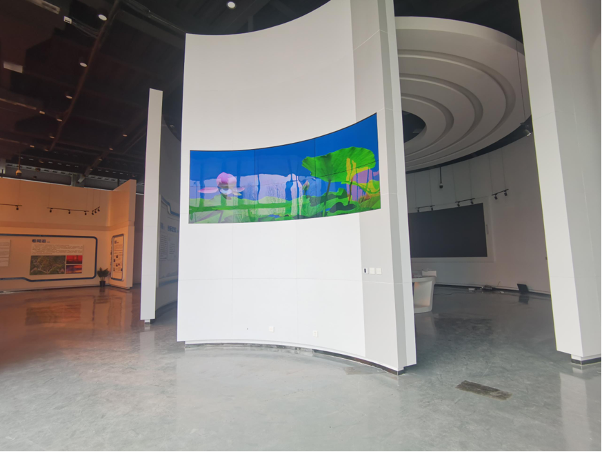 安阳四蚊网络 OLED 柔性拼接屏应用