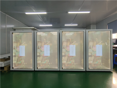 长沙展馆展柜 OLED 透明屏应用