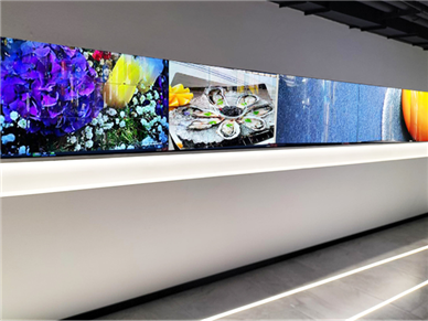 北京鸿泰智能项目 OLED 柔性屏应用
